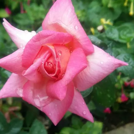 Appartamento Cascina Bricco *