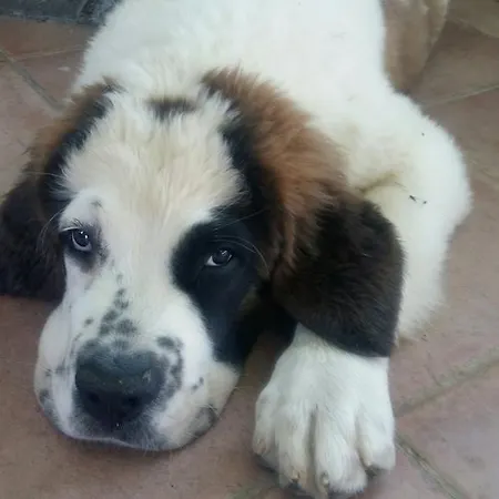 Cascina Bricco Appartamento