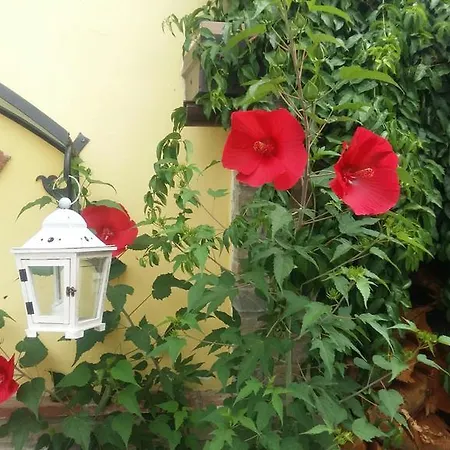 Cascina Bricco * 오바다