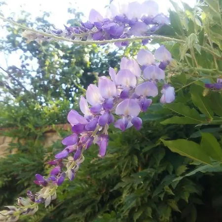 아파트 Cascina Bricco *