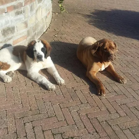 Cascina Bricco 아파트 *