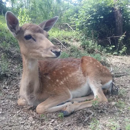 Appartamento Cascina Bricco *