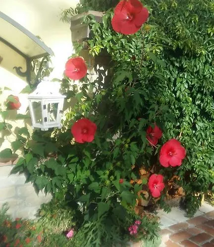 Daire Cascina Bricco