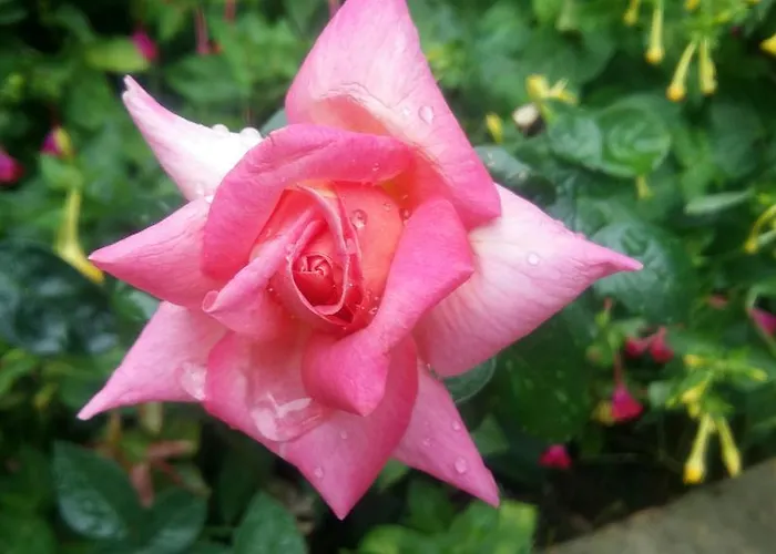 Apartamento Cascina Bricco *