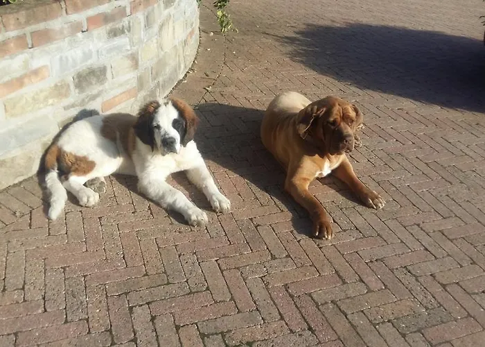 Cascina Bricco Daire *