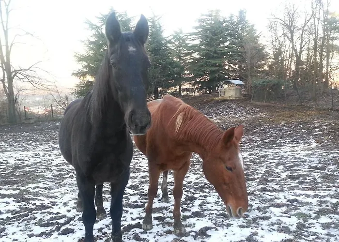 Cascina Bricco Daire