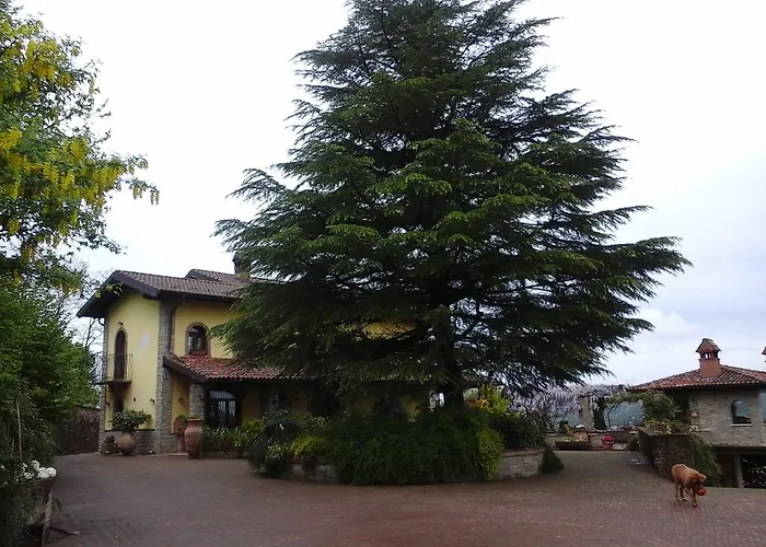 Cascina Bricco Daire